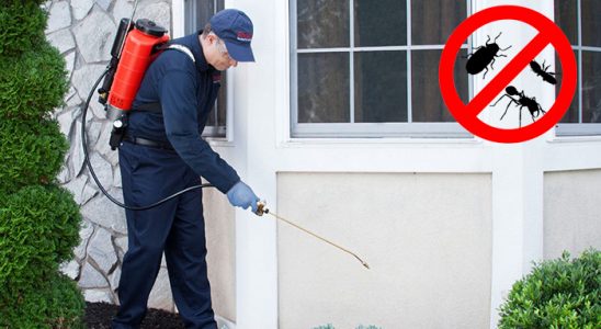 Zeytinalanı Sivrisinek İlaçlama böcek ilaçlama ve haşere kontrolü — ilaclama-tr.com